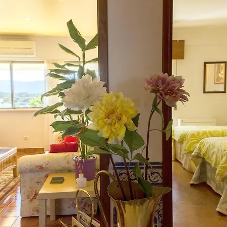 Komfort-apartment דירה פראיה דאס מסאס